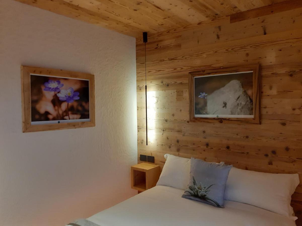 B&B Il Bucaneve Santo Stefano Di Cadore Eksteriør billede
