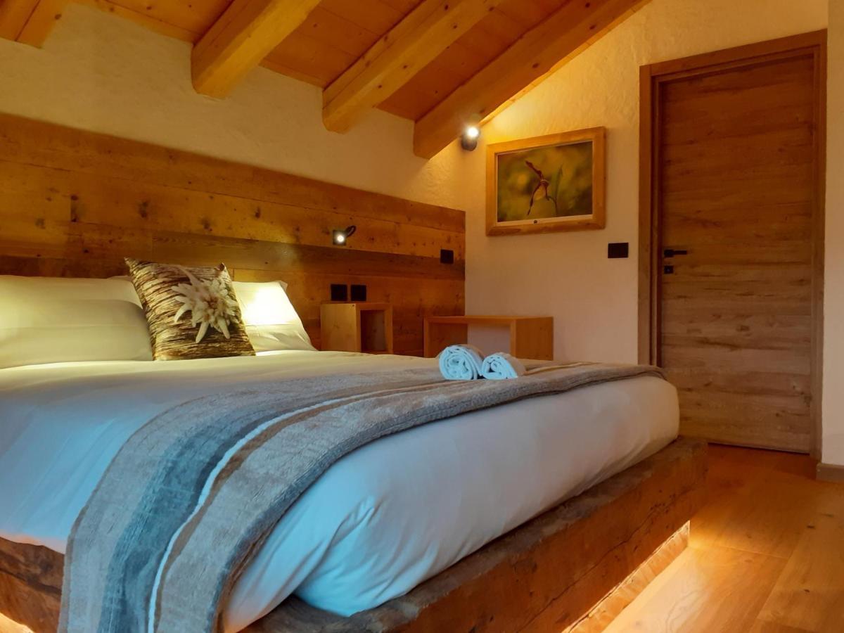 B&B Il Bucaneve Santo Stefano Di Cadore Eksteriør billede