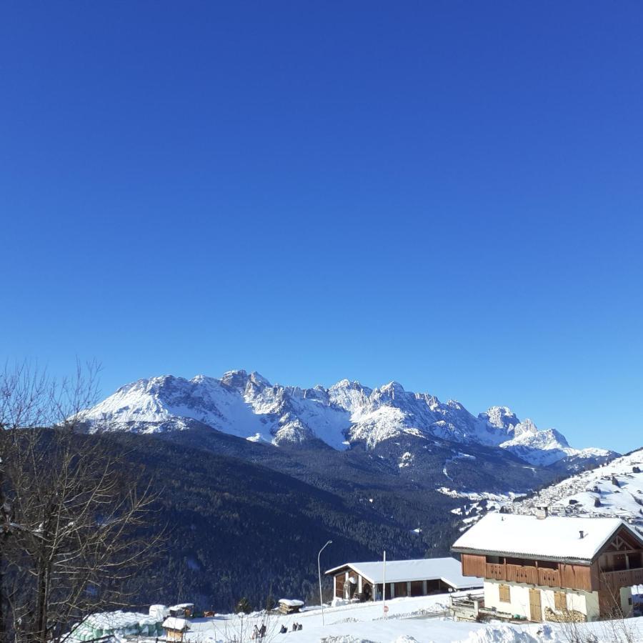 B&B Il Bucaneve Santo Stefano Di Cadore Eksteriør billede