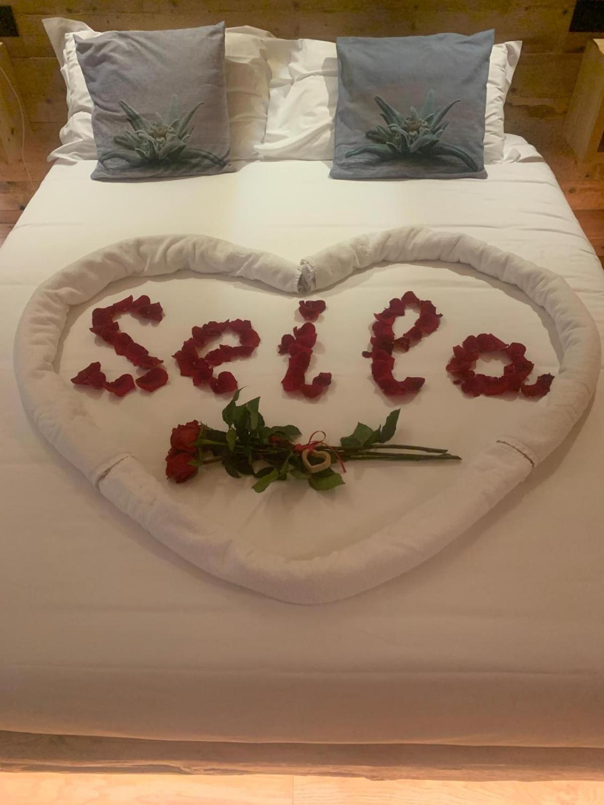 B&B Il Bucaneve Santo Stefano Di Cadore Eksteriør billede